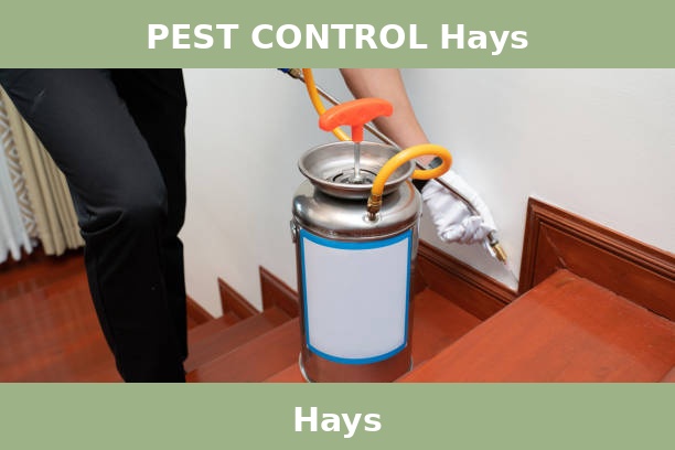 PEST CONTROL Hays